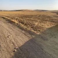 زمین‌کشاورزی‌باضمانت اب‌زیرزمینی(کشاورزی،خانه باغ)|فروش دفتر صنعتی، کشاورزی، تجاری|بوکان, |دیوار