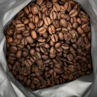 فروش عمده انواع دان قهوه
