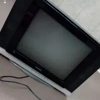 تلویزیون|تلویزیون و پروژکتور|تربت‌حیدریه, داروپخش|دیوار