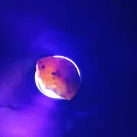 سنگ های قیمتی|کلکسیون اشیاء عتیقه|تاکستان, |دیوار