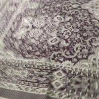 یک عددروفرشی بایک جارو برقی بوش