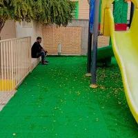 چمن مصنوعی|مصالح و تجهیزات ساختمان|سیرجان, |دیوار