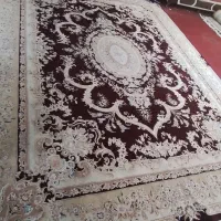 قالی ۱۲ متری گل برجسته نخ ضخیم|فرش|شیراز, تاچارا|دیوار