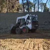 بابکت