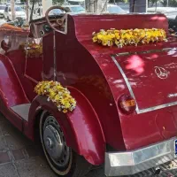 ماشین عروس|خودرو اجاره‌ای|شیراز, عفیف‌آباد|دیوار