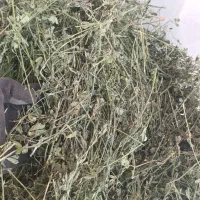 یونجه خرد شده 315کیلو