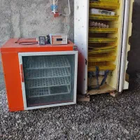 دستگاه جوجه کشی