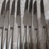 ۱۶ عدد چاقو استیل