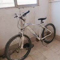 دوچرخه حرفه ای ۲۶ویوا سفید