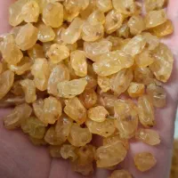 گلدن طلایی انگوری