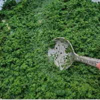 سبزی خورشتی