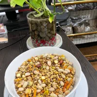 بهترین محصولات ارگانیک