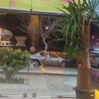 گل بنسای یوکا بسیار خاص