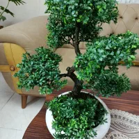 گل مصنوعی بونسای|گل و گیاه طبیعی|تهران, باغ خزانه|دیوار