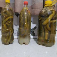 خیارشور ویژه|خوردنی و آشامیدنی|مشهد, گلبرگ شمالی|دیوار