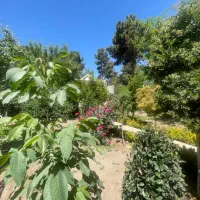 استخدام نگهبان ، سرایدار