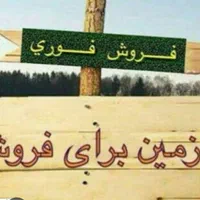 زمین ۲۴۰متر