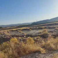 زمین