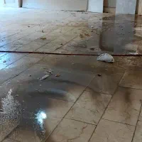 خدمات نظافتی|خدمات نظافت|الوند, |دیوار