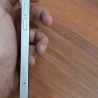 آیفون ۱۴ نرمال|موبایل|گرمدره, |دیوار