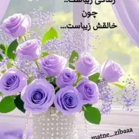 استخدام حسابدار