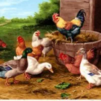 فروش نخ و نقشه زیر قیمت سایت