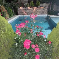 اجاره خونه باغ ویلا به صورت ساعتی و روزانه|اجارهٔ کوتاه‌مدت ویلا و باغ|شیراز, محمودآباد|دیوار