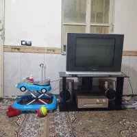 تلیویزیون ۲۹ اسنوا سالم