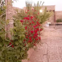 ویلایی باغ و مسکونی شهرک بهار ۷۵۰ متر ۱۰۰ متر بنا|فروش خانه و ویلا|مشهد, خرم آباد|دیوار