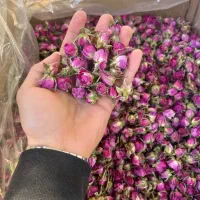 گل محمدی پشم کورک سنجد