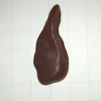 شهاب سنگ|کلکسیون اشیاء عتیقه|تهران, شهرک آزمایش|دیوار