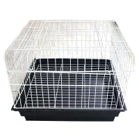 قفس خرگوش و خوکچه هندی یا حیوانات کوچک|لوازم جانبی حیوانات|قم, حکمت شمالی|دیوار