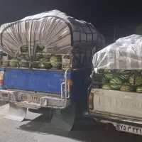 هندوانه گرد سوپر لوکس 1