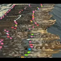 مو بده طلا بگیر|خدمات آرایشگری و زیبایی|قزوین, |دیوار