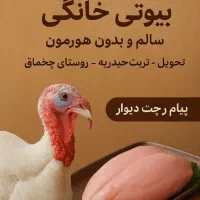 بوقلمون گوشتی ارگانیک خانگی