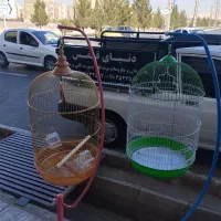 قفس لوازم پرنده|لوازم جانبی حیوانات|قم, پردیسان|دیوار