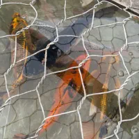 کوی مولد و بزرگ|ماهی|رشت, یخسازی|دیوار