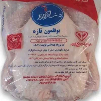 فروش بوقلمون تازه/مستقیم از کشتارگاه دزطیور