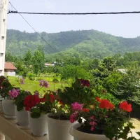 واحدی با امکانات کامل|اجارهٔ کوتاهمدت آپارتمان و سوئیت|املش, |دیوار