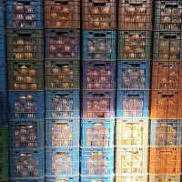 پرتقال نایلون پیچ 140تن|عمدهفروشی|قائمشهر, |دیوار