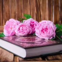 خدمات مذهبی نیابتی نماز و روزه قضا