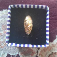 طلا|جواهرات|نورآباد ممسنی, |دیوار