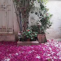 اجاره سوییت منزل مبله حافظیه.قران.اطلسی|اجارهٔ کوتاه‌مدت آپارتمان و سوئیت|شیراز, باغ تخت|دیوار