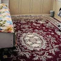 فرش|فرش|مرودشت, فاز دوم شهرک فرهنگیان|دیوار
