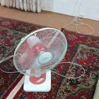 فروش پنکه زمینی کوتاه مارک  سانی سالم