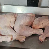 ران مرغ تازه|خوردنی و آشامیدنی|خواف, |دیوار