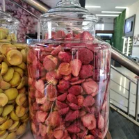تنگ های شیشه ای ۳سایز