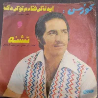 صفحه گرامافون کوچک  اورجینال کلکسیونی|کلکسیون اشیاء عتیقه|تهران, شهرک نفت|دیوار