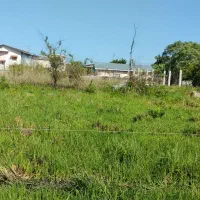 فروش زمین مسکونی|فروش زمین و ملک کلنگی|رامسر, |دیوار