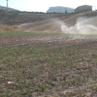 فروش فوری زمین کشاورزی آبی سد هاله|فروش دفتر صنعتی، کشاورزی، تجاری|کوهدشت, |دیوار